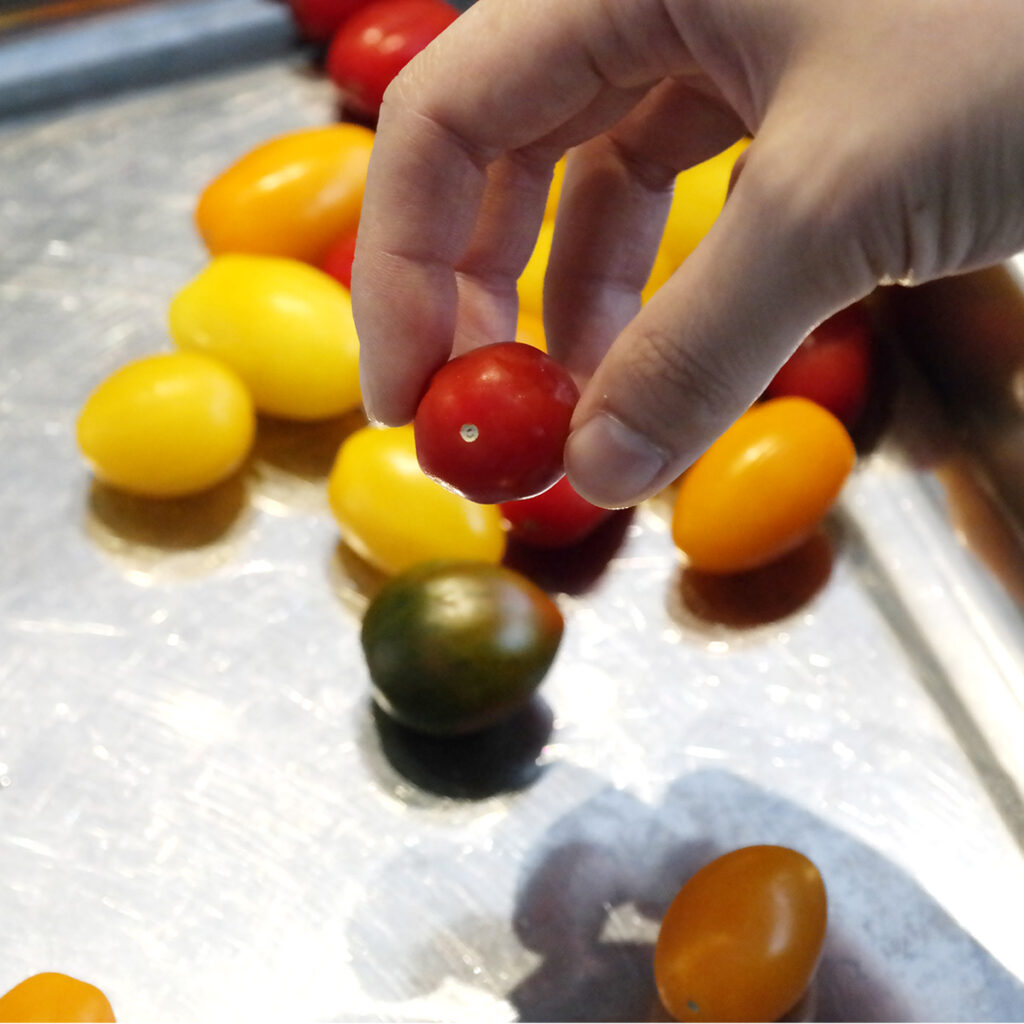 cherry tomato, scoring