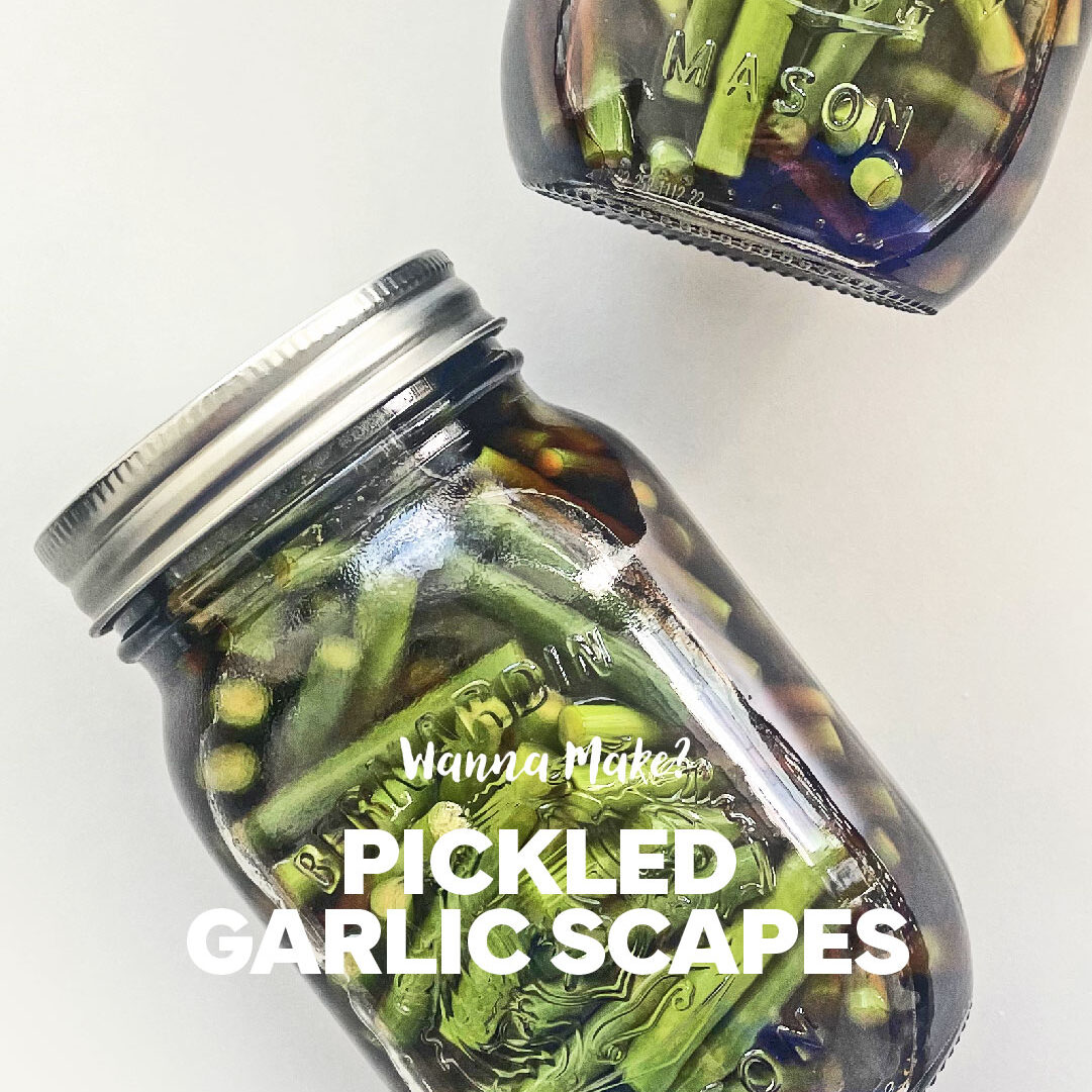 pickled-garlic-scapes